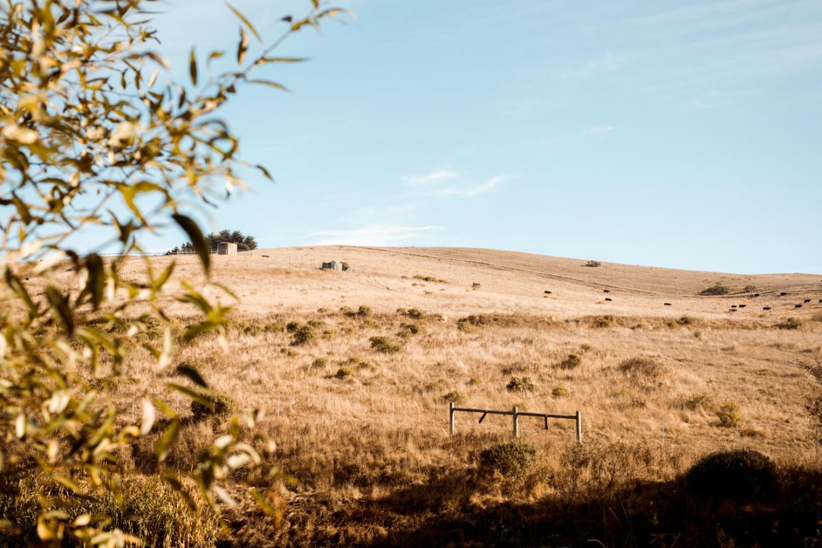 Sonoma Coast Villa Bodega Kültér fotó